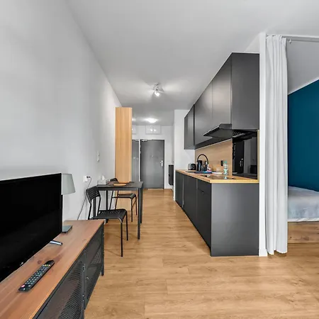 Magnolia Bloom By Bookinghost Breslavia